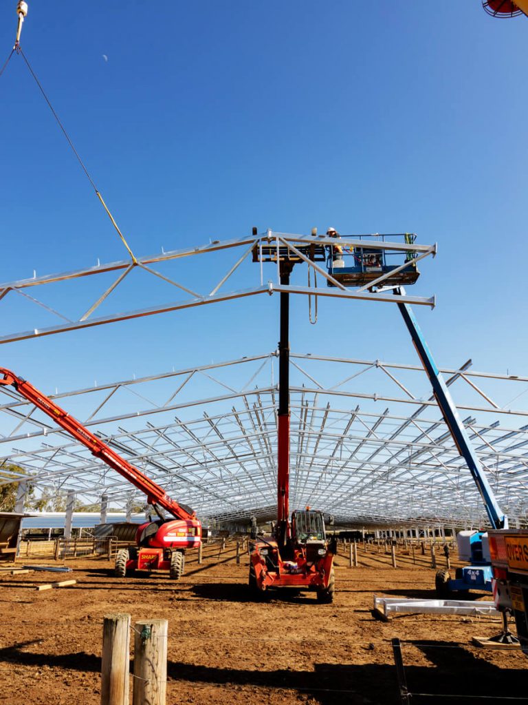 Airlie Feedlot steel frame under construction