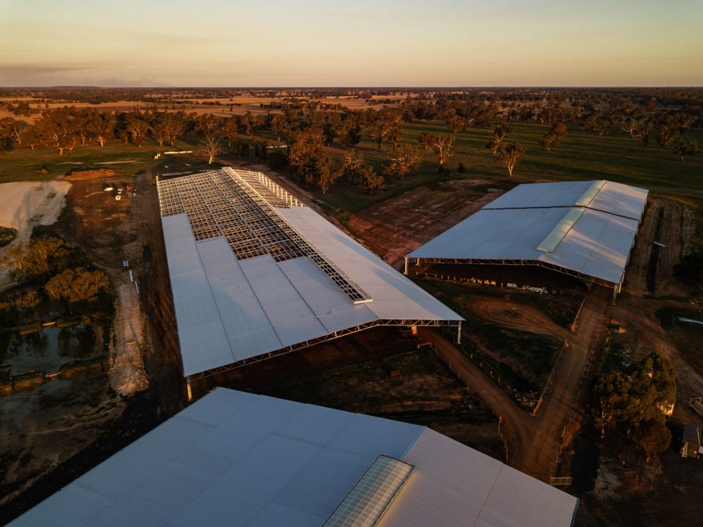 Airlie Feedlot roof under contruction