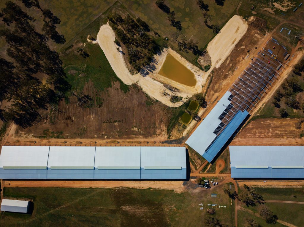 Airlie Feedlot