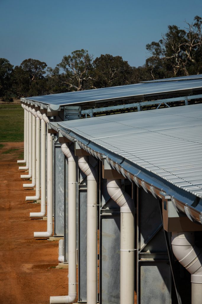 Airlie Feedlot run-off